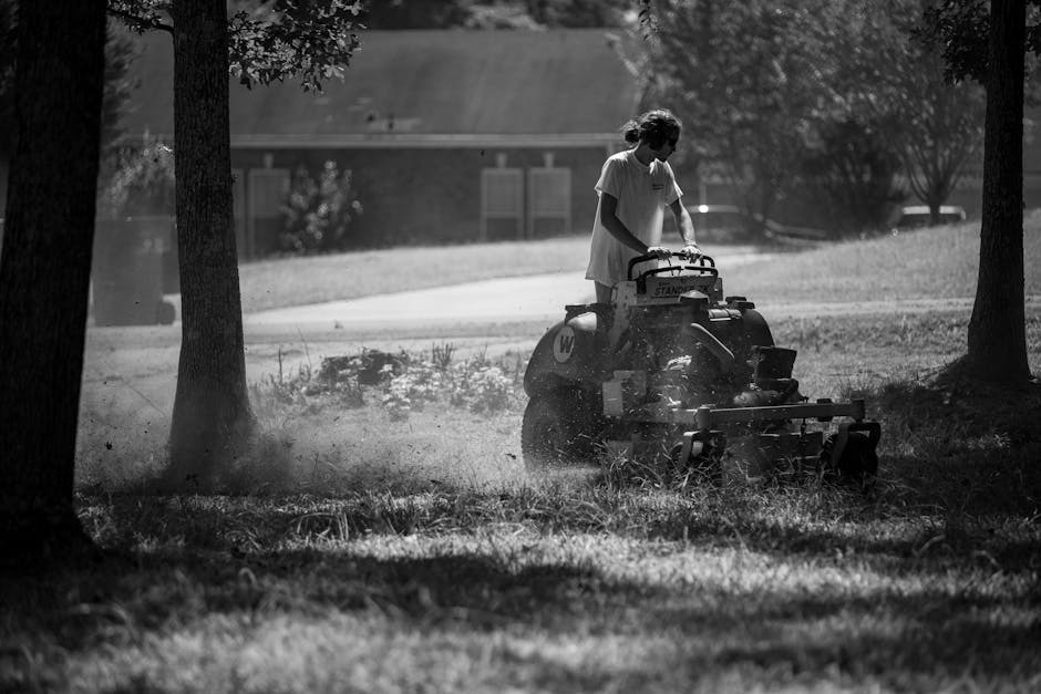 Professional pushing a lawn mower across lush green grass